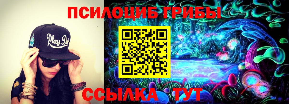 Галлюциногенные грибы прущие грибы Пятигорск