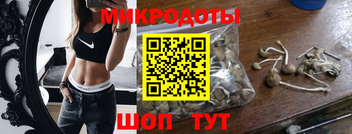 Пятигорск  Псилоцибиновые грибы прущие грибы  Вход с VPN 