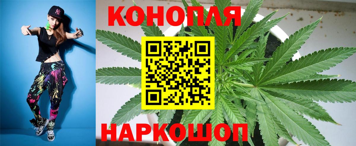 Каннабис индика Пятигорск